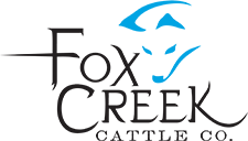 Fox Creek Cattle Company - Centennial Wyoming Cattle